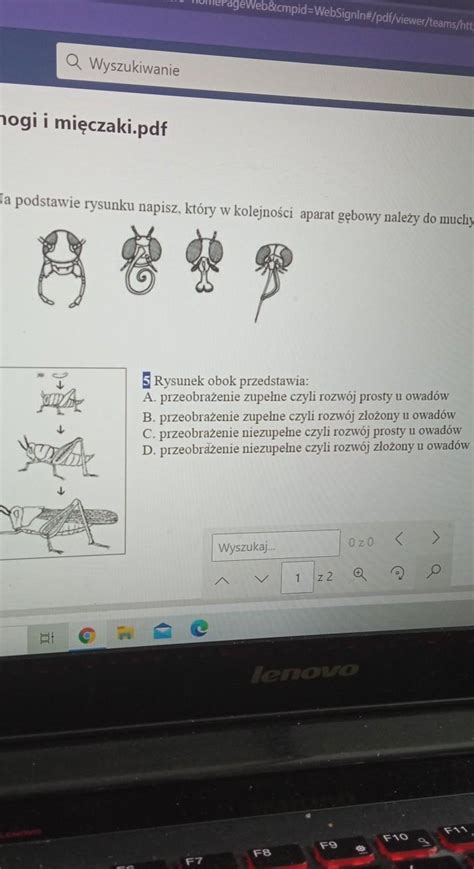 Na podstawie rysunku napisz który w kolejności aparat gębowy należy do