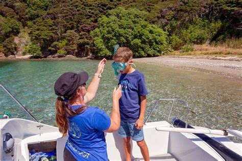 Barefoot Sailing Adventures Paihia Aktuelle 2020 Lohnt Es Sich Mit Fotos