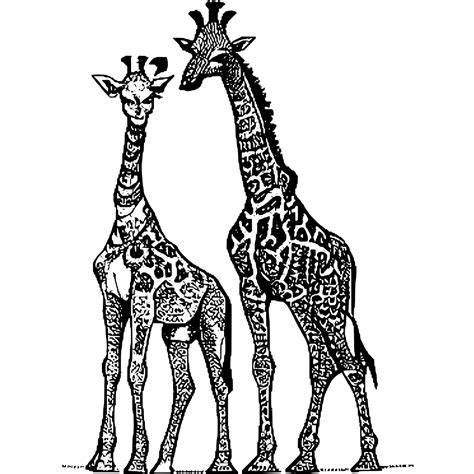 Mother and Baby Giraffe · Creative Fabrica