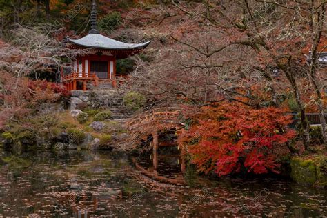 秋の醍醐寺弁天堂 写真 アールクリエーション