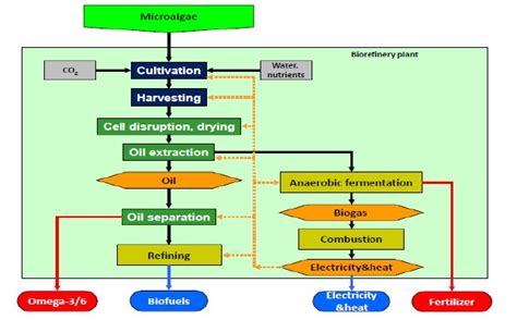 Ecoduna Algal Demonstration Biorefinery Biorefineries Blog