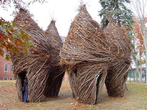 Patrick Doughertys Twig Sculptures Amusing Planet Land Art Twig