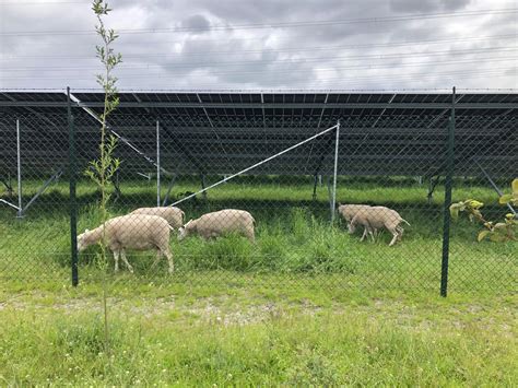 ZonnepanelenDelen Investeren In Zonne Energie Van Zonnedaken En