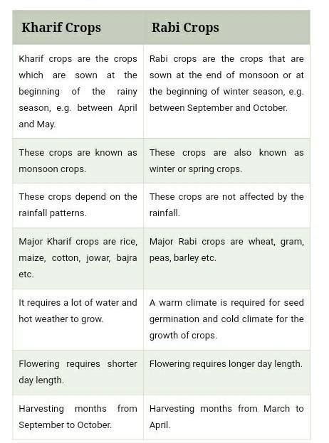 Difference Between Rabi Crop And Kharif Crop Brainly In