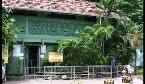 Sri Lanka's main zoo in Dehiwala decided to free animals into forests ...