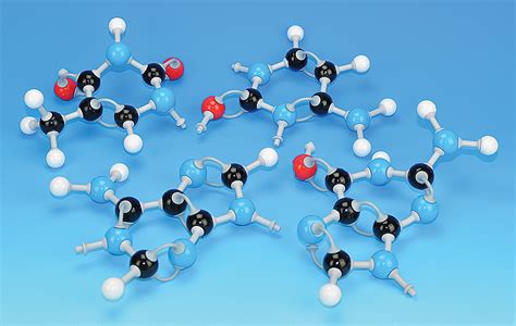 Nucleotide Model Kit | Flinn Scientific