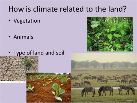 Types Of Terrestrial Ecology Elebig