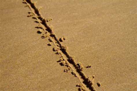 Toeie's Photoblog: Line in the Sand