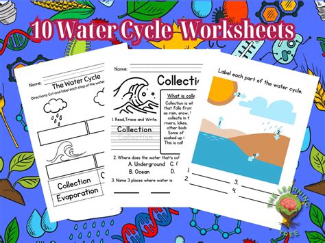 10 Water Cycle Worksheets Educational Digital Printable - Etsy