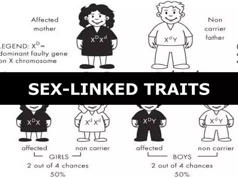 05 Sex Linked Inheritance Ppt