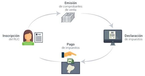 Ciclo del Contribuyente RUC SRI Ecuador En línea