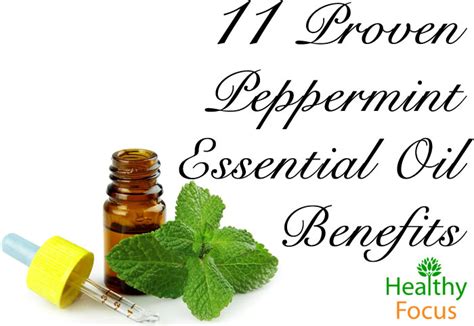 11 Proven Peppermint Essential Oil Benefits - Healthy Focus