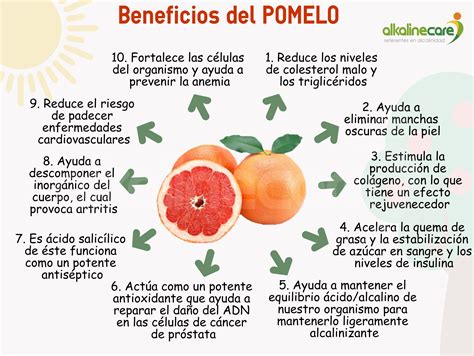 Beneficios Del Pomelo Para Nuestra Salud Una De Las Pocas Frutas