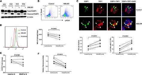 Frontiers Disruption Of Telomere Integrity And Dna Repair Machineries