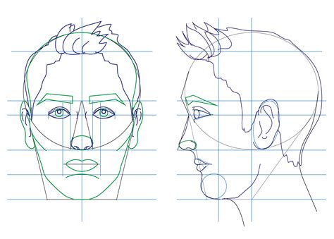 Estructura De La Cabeza Y El Rostro De Frente Y De Perfil Dibujar