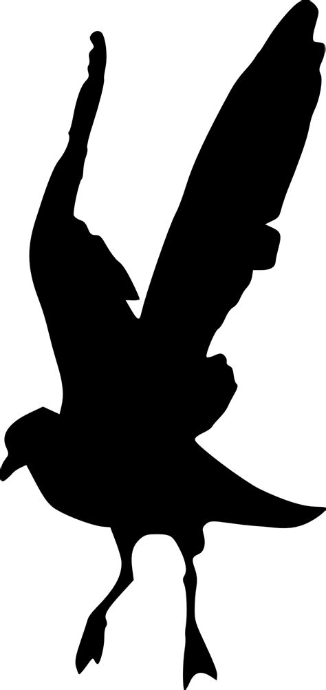 15 Bird Silhouette (PNG Transparent) | OnlyGFX.com