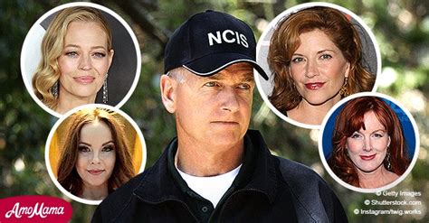 Leroy Gibbs' Ex-Wives — Meet Actresses Who Played Partners of the Fan ...