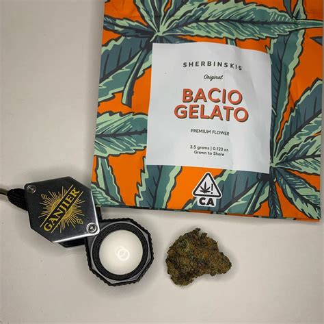 Cultivar Review Bacio Gelato By Sherbinskis The Highest Critic