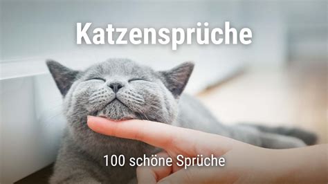 Katzenspr Che Lustige Und Sch Ne Spr Che Mit Bildern Good Space