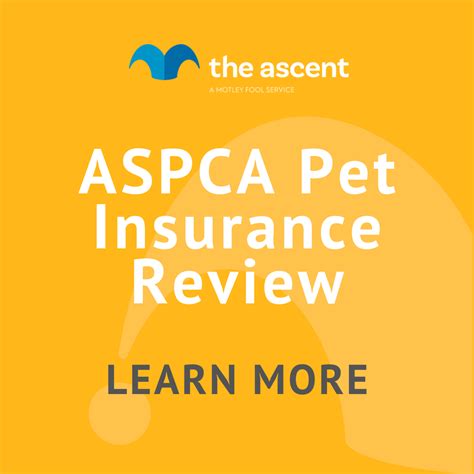 Aspca Pet Insurance Review The Motley Fool