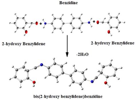 Synthesis of N, N' bis (2-hydroxy benzylidene) benzidine. | Download ...