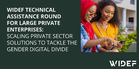 Women In Digital Economy Fund Technical Assistance For Private