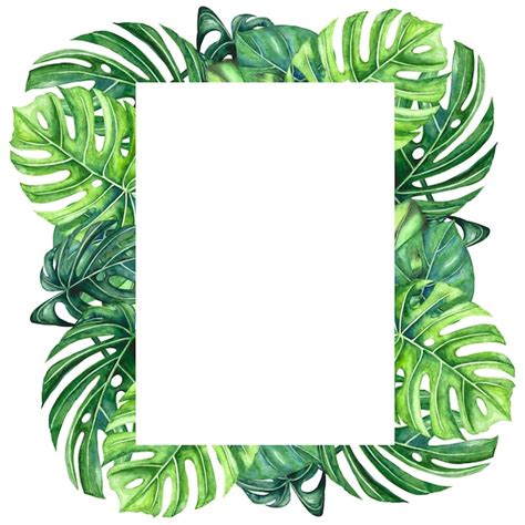 Ilustraci N Acuarela De Un Marco De Hojas Tropicales Verdes Y Monstera