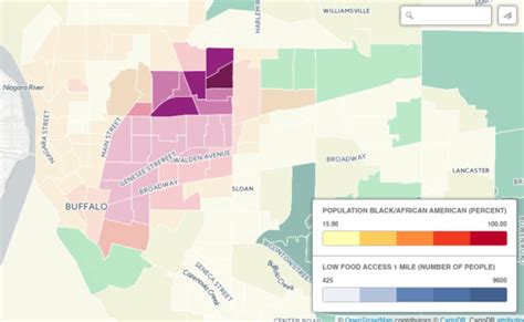 Food Desert New York State: 2010 Census Demographics – Information ...