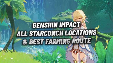 Genshin Impact Starconch Locations And Farming Route Guide