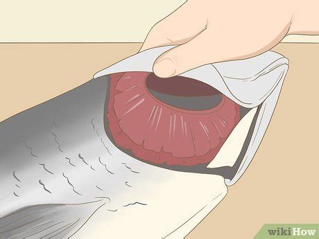 Ways To Buy Fresh Fish Wikihow Life