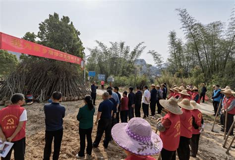 枫朗干群植新苗 绿美乡村开新篇建设活动家园