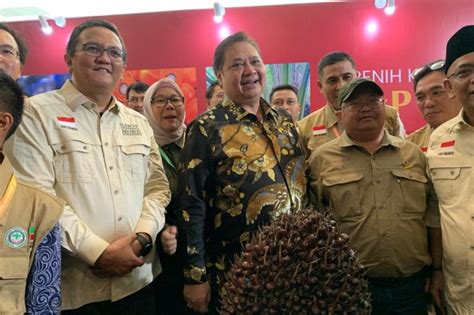 Di Depan Ratusan Petani Sawit Menko Perekonomian Airlangga Klaim