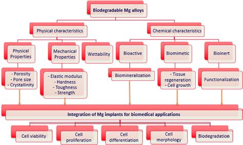 Frontiers Magnesium Alloys With Tunable Interfaces As Bone Implant