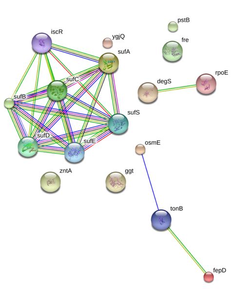 Fig S6 Protein Protein Interactions Of Conditionally Essential Genes