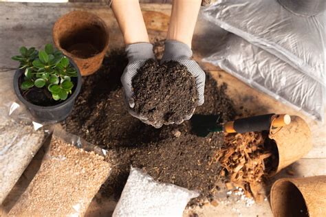 Comment préparer votre propre terreau pour potager à la maison