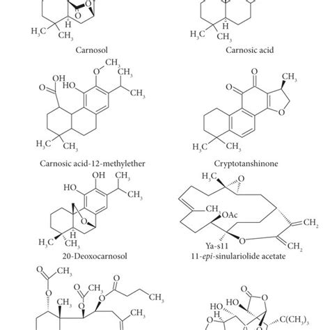 Diterpenes and their derivatives targeting chemokines in RA. | Download ...