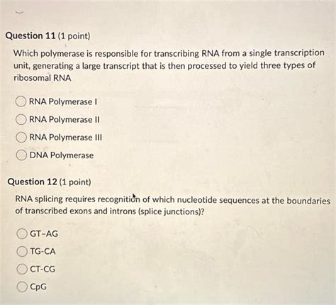 Solved Which Polymerase Is Responsible For Transcribing Rna Chegg