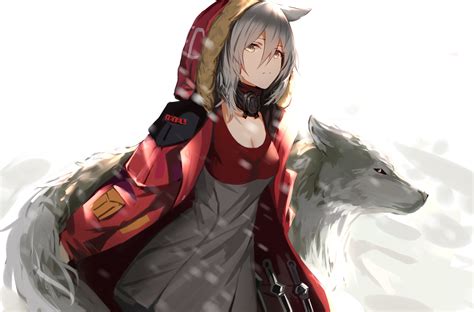 Manga Drawings Anime Wolf Girl