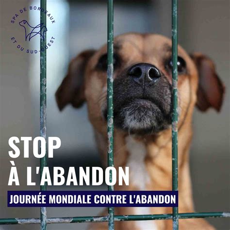 Journ E Mondiale Contre L Abandon Spa