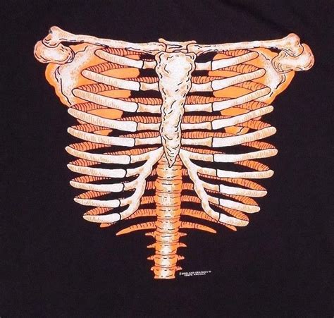 Vintage Skeleton Rib Cage Glow In The Dark Xl Black T Shirt Halloween Horror Glow In The Dark