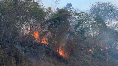 Bolivia Decreta Desastre Nacional Por Incendios Y Sequ As El Pitazo