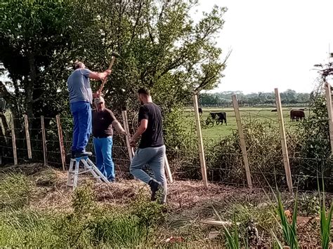 Nos Chantiers D Insertion Les Marais Du Vigueirat