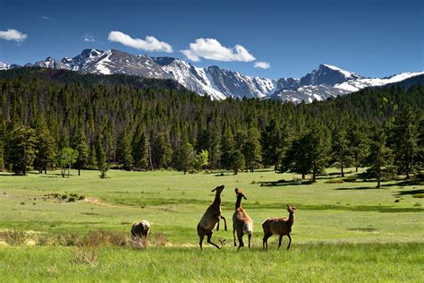 Colorado High Country Spring Time - AR15.COM