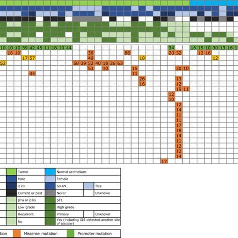 Somatic Mutation Landscape Of Tumor And Normal Samples From Patients