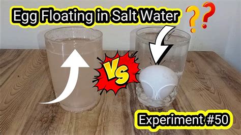 Egg Floating In Salt Water Why Experiment 50 Salt Water Egg Floating Youtube