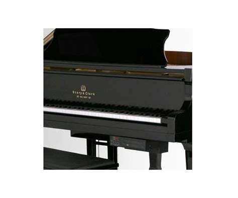 Player Baby Grand - Piano Rentals