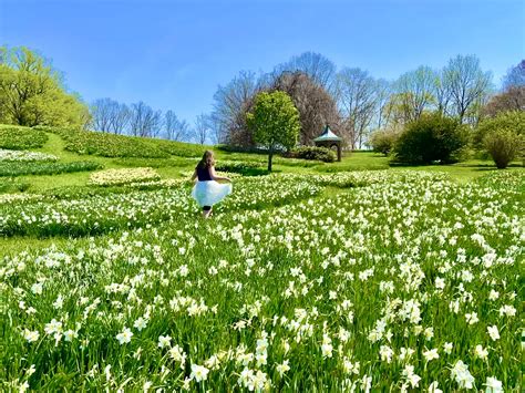 Winterthur Gardens - Winterthur, DE - Been There Done That with Kids