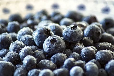 The Blueberry Allergy: Symptoms, Treatment, and Prevention Options