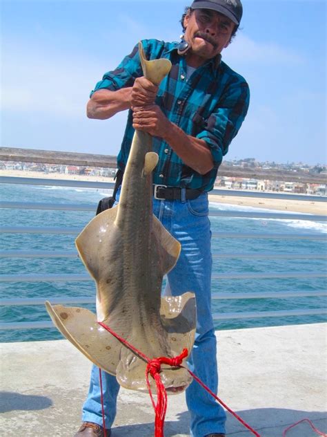 Angel.Shark_Hermosa_2007_6.2 - Pier Fishing in California