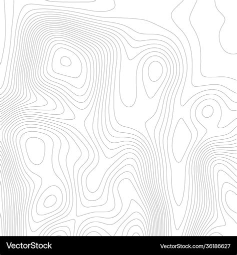 Topographic texture map on white background topo Vector Image